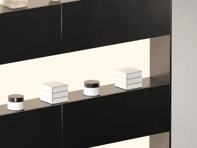 Display rack Built-in niche shelves with continuous lighting 3D model