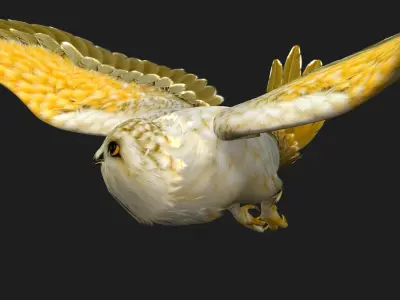 OwlBird A4 3D model