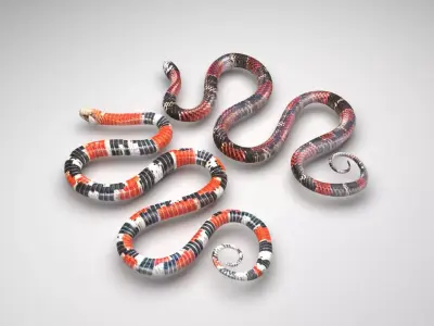 Snakes 3D model