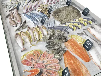 Seafood showcase 4 3D model