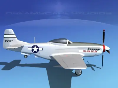 P-51D Mustang Six Gun Texan 3D model