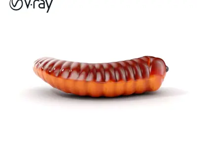 Realistic Centipede Model Pack for Animations and Games Low-poly 3D model