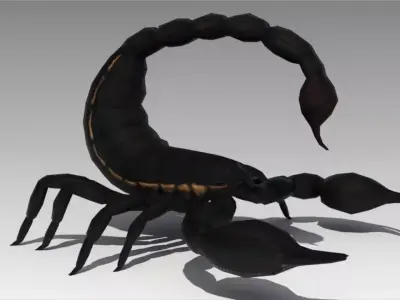 Black Scorpion Low-poly 3D model