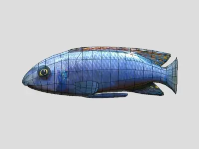 Labeotropheus Trewavasae Realistic Animated Low-poly 3D model