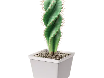  Spiral Cactus Potted Plant Model 