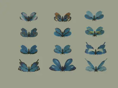 Butterflies 3D model