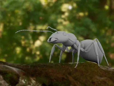 Realistic ant 3D Model Low-poly 3D model