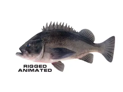 Low-Poly Dusky Rockfish Animated Low-poly 3D model