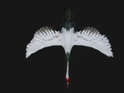 Crane Bird A1 3D model