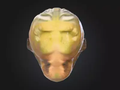 Alien Creature Low-poly 3D model 2