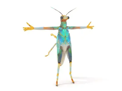 Iridescent Mantis model pack Low-poly 3D model