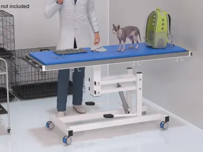 Veterinary Examination 3D model
