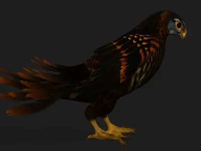 Kestrel B9 Low-poly 3D model