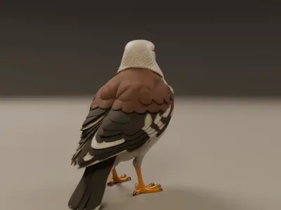 seagull 3D print model