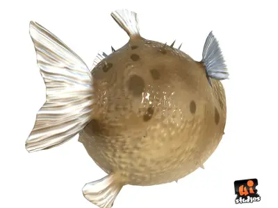 Toon Puffer Fish Low-poly 3D model