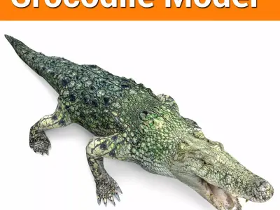 Crocodile 3D Models low poly model Low-poly 3D model