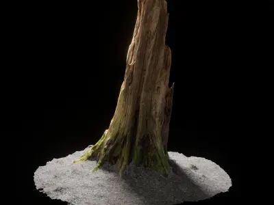 Forest Tree Stump 4K -Part11- Free low-poly 3D model