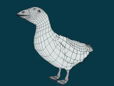 Atlantic Puffin Seabird Low-poly 3D model