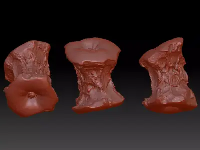 3D printing of apple core can be used for commercial use 3D print model
