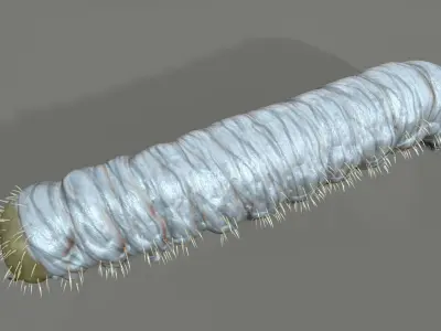 Caterpillar Low-poly 3D model