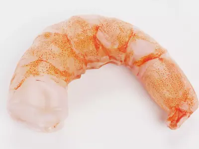 Shrimp Bite - Realistic Cooked Seafood Piece 3D model