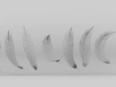 Set of 8 high quality feathers 3D model