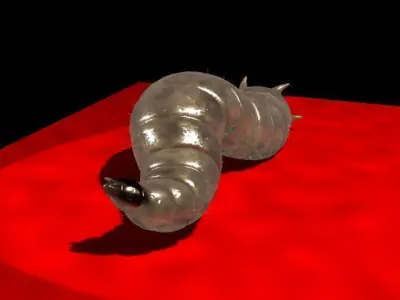 Maggot Rigged 3D model