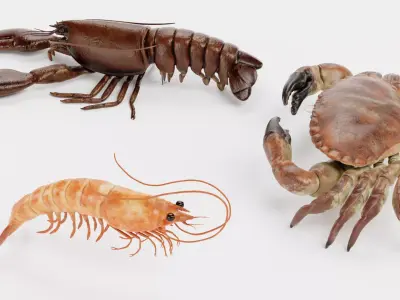 Shrimp Crab Lobster - Crustacean Collection 3D model