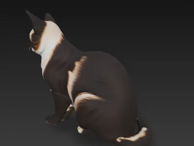 Cat Realistic 3D Model Basic - Low Poly Realistic Low-poly 3D model