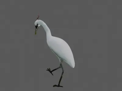 Crane Bird Low-poly 3D model