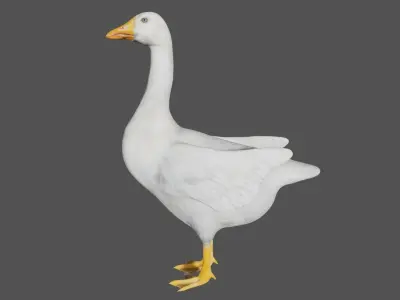 Canadian Goose  3D model