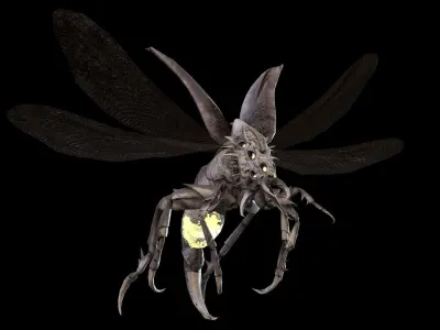 Flying Beetle6 Low-poly 3D model