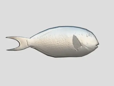Sohal Surgeonfish Low-poly 3D model