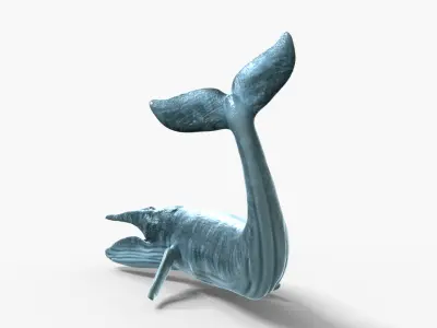 Realistic Blue Whale 3D Model Rigged 3D model