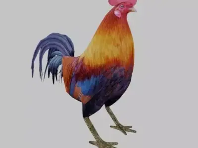 Rooster colorful Low-poly 3D model