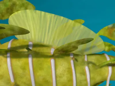 Leafy sea dragon rigged 3D model