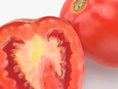 Roma Tomatoes 3D model