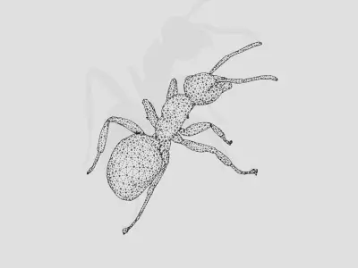 Red Ant Low-poly 3D model