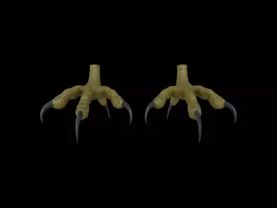FOOT001 Rigged Bird Feet Low-poly 3D model