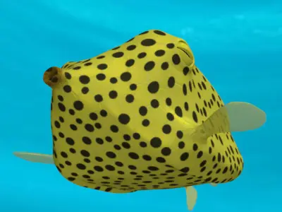 Boxfish yellow low poly Low-poly 3D model