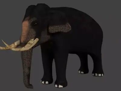 Low Poly Asian Elephant Low-poly 3D model