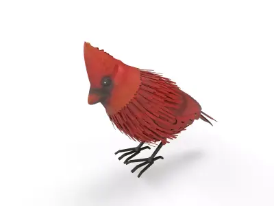 Red Bird  Low-poly 3D model