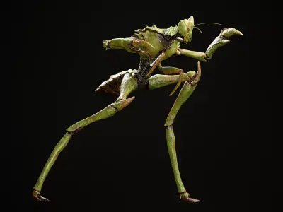 Insectoid Alien Humanoid  3D Character Low-poly 3D model