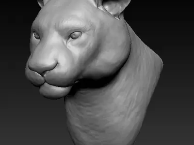 Tiger head Free 3D print model