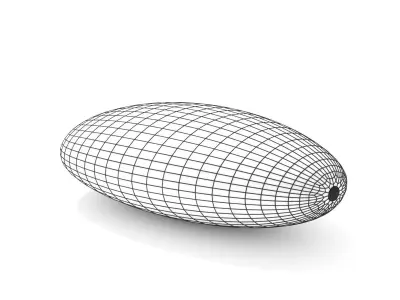 Sunflower Seed Free 3D model