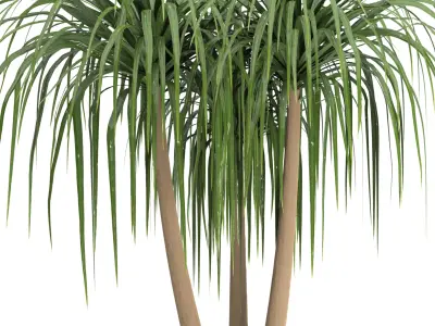 Indoor Plants in Ferm Living Bau Pot Large - Set039 3D model