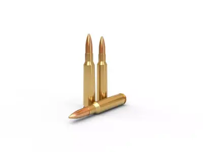 460 Steyr Ammo Low-poly 3D model