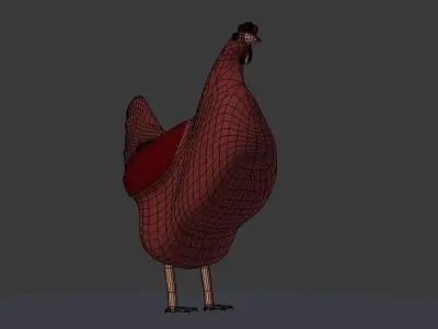 chicken cardinal canvas 3D model