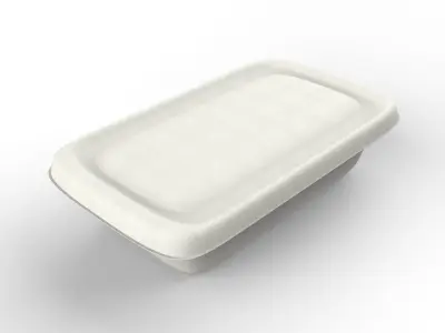 Food Container 3D model
