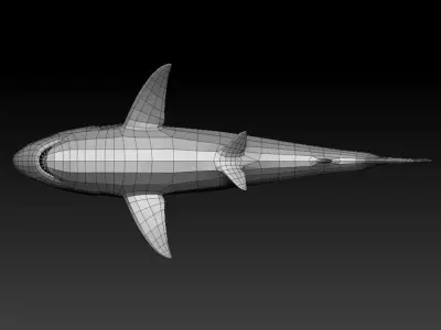 3D SHARK Low-poly 3D model